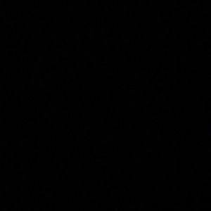 Meet your Posher, Tessa